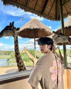 Pao Piched Jongjaihan Instagram - 🐒 ลิงน้อยกับนีราฟ 🦒
.
📸 : @aum.chld