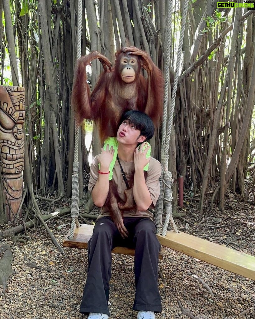 Pao Piched Jongjaihan Instagram - ลิงจั๊กๆ ก็มันรักจริงๆ 🤪🙉🙈🙊🐒 . 📸 : @aum.chld