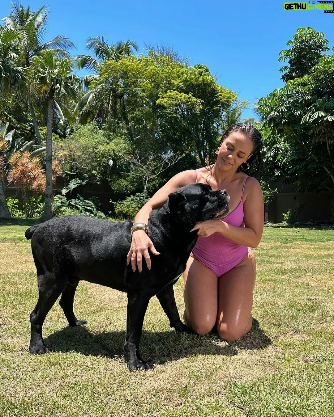 Paolla Oliveira Instagram - No melhor lugar do mundo. 🏠🐾❤️