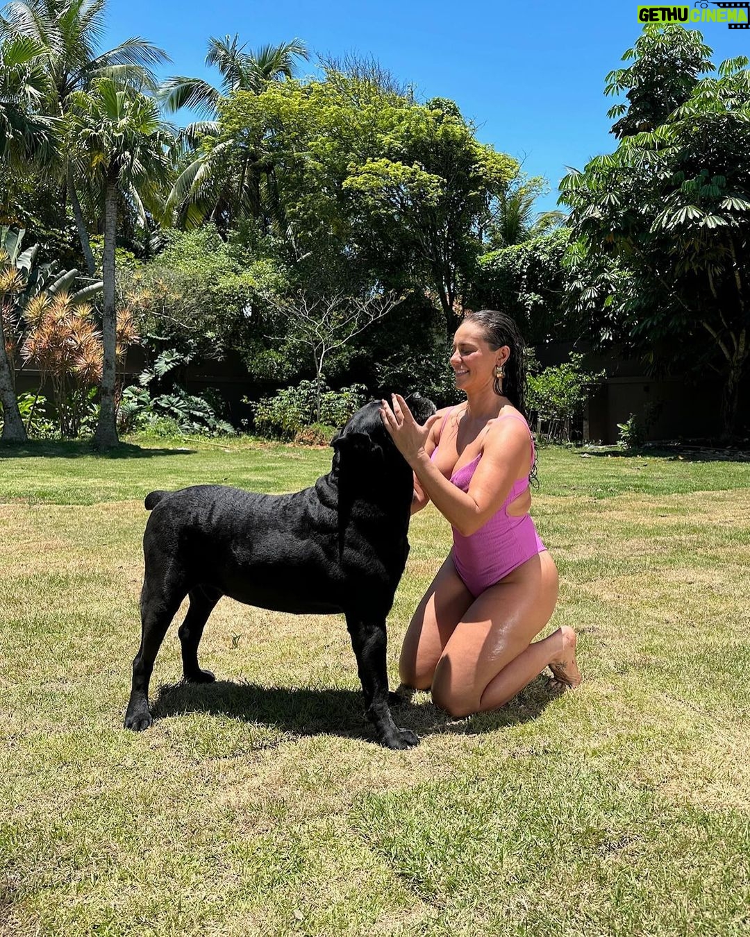Paolla Oliveira Instagram - No melhor lugar do mundo. 🏠🐾❤️