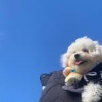 Park Chae-rin Instagram - 즐추!