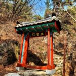 Park Jae-min Instagram - # 혹시 3월 3일이 국립공원의 날인 것을 알고 계셨나요? 올해가 첫 기념일이라고 하네요. 국립공원의 날을 맞아 북한산 국립공원에서 주한 미국 대사관 직원들과 함께 acg (a cleaner globe) 캠페인을 펼치고 왔습니다. 주은 쓰레기의 양이 어마어마 하네요. 보다 깨끗하고 나은 환경을 후대에 잘 물려주는 것은 선택이 아닌 필수입니다. acg 캠페인 함께 해요! commemorating the first ever National Park Day of Korea with the acg campaign. thanks to my friends who came along and joined the acg movement to change the world to a better place for our kids, Matt (@mattwilson_11) and the US Embassy (@usembassyseoul). join us and save the planet! # ACG (A Cleaner Globe) Did you know plastic bags are used for only an average of 12 minutes but it takes at least 500 years to degrade in a landfill? Even when we are gone, our grand children's grand children's grand children will have to live on a soil, polluted with plastic bags which came from hundreds of years ago, not knowing who threw it away or why. It is our responsibility to keep our mother nature clean and pass it down to our kids. So I am kicking off a movement named 'ACG' standing for 'A Cleaner Globe'. Anyone who would like to join this movement, don't hesitate to contact me thru DM. All you need is go outdoor, and bring a trash bag with a good will to save our beautiful home, planet earth. Join this movement and share, post a photo whenever, wherever you are with #acleanerglobe 담배 꽁초 10년. 일회용 컵 10년. 스티로폼 50년. 플라스틱 70년. 알루미늄캔 100년. 폐마스크 최소 100년 이상. 그리고 스티로폼 500년 이상. 우리가 잠시 편하기 위해, 혹은 잠시 소홀한 틈에 지구는 수백 년의 아픈 기다림을 시작하게 됩니다. 지금 내가 버린 한 줌의 쓰레기는 내 손주의 손주, 그 손주의 손주가 밟을 땅에 여전히 남아 있을 것입니다. 내 아이들이 살아갈 이 집을 깨끗하게 물려주기 위해, 깨끗한 지구 프로젝트, ACG 프로젝트를 시작합니다. 필요한 준비물은 쓰레기 봉지 하나, 그리고 의지. 장소는 지구 상의 어느 곳이든 상관 없습니다. 단, 야외가 좋겠죠? 내가 줍는 쓰레기 한 줌이 내 아이들이 살아갈 지구라는 집의 500년을 바꿔줄 것입니다. 여러분도 동참해 보세요! 우리의 집, 지구를 씻겨주고 #acleanerglobe 와 함께 사진을 올려주세요! For A Cleaner Globe! #acg #usembassy #국립공원의날 #쓰줍산 #우리강산푸르게푸르게 #acleanerglobe #nike #북한산 북한산 국립공원 Bukhansan National Park