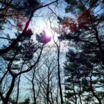 Park Jae-min Instagram - # 혹시 3월 3일이 국립공원의 날인 것을 알고 계셨나요? 올해가 첫 기념일이라고 하네요. 국립공원의 날을 맞아 북한산 국립공원에서 주한 미국 대사관 직원들과 함께 acg (a cleaner globe) 캠페인을 펼치고 왔습니다. 주은 쓰레기의 양이 어마어마 하네요. 보다 깨끗하고 나은 환경을 후대에 잘 물려주는 것은 선택이 아닌 필수입니다. acg 캠페인 함께 해요! commemorating the first ever National Park Day of Korea with the acg campaign. thanks to my friends who came along and joined the acg movement to change the world to a better place for our kids, Matt (@mattwilson_11) and the US Embassy (@usembassyseoul). join us and save the planet! # ACG (A Cleaner Globe) Did you know plastic bags are used for only an average of 12 minutes but it takes at least 500 years to degrade in a landfill? Even when we are gone, our grand children's grand children's grand children will have to live on a soil, polluted with plastic bags which came from hundreds of years ago, not knowing who threw it away or why. It is our responsibility to keep our mother nature clean and pass it down to our kids. So I am kicking off a movement named 'ACG' standing for 'A Cleaner Globe'. Anyone who would like to join this movement, don't hesitate to contact me thru DM. All you need is go outdoor, and bring a trash bag with a good will to save our beautiful home, planet earth. Join this movement and share, post a photo whenever, wherever you are with #acleanerglobe 담배 꽁초 10년. 일회용 컵 10년. 스티로폼 50년. 플라스틱 70년. 알루미늄캔 100년. 폐마스크 최소 100년 이상. 그리고 스티로폼 500년 이상. 우리가 잠시 편하기 위해, 혹은 잠시 소홀한 틈에 지구는 수백 년의 아픈 기다림을 시작하게 됩니다. 지금 내가 버린 한 줌의 쓰레기는 내 손주의 손주, 그 손주의 손주가 밟을 땅에 여전히 남아 있을 것입니다. 내 아이들이 살아갈 이 집을 깨끗하게 물려주기 위해, 깨끗한 지구 프로젝트, ACG 프로젝트를 시작합니다. 필요한 준비물은 쓰레기 봉지 하나, 그리고 의지. 장소는 지구 상의 어느 곳이든 상관 없습니다. 단, 야외가 좋겠죠? 내가 줍는 쓰레기 한 줌이 내 아이들이 살아갈 지구라는 집의 500년을 바꿔줄 것입니다. 여러분도 동참해 보세요! 우리의 집, 지구를 씻겨주고 #acleanerglobe 와 함께 사진을 올려주세요! For A Cleaner Globe! #acg #usembassy #국립공원의날 #쓰줍산 #우리강산푸르게푸르게 #acleanerglobe #nike #북한산 북한산 국립공원 Bukhansan National Park