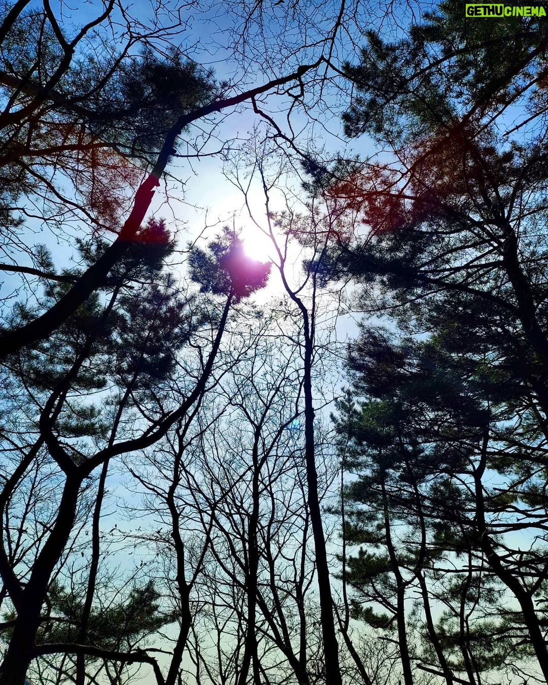 Park Jae-min Instagram - # 혹시 3월 3일이 국립공원의 날인 것을 알고 계셨나요? 올해가 첫 기념일이라고 하네요. 국립공원의 날을 맞아 북한산 국립공원에서 주한 미국 대사관 직원들과 함께 acg (a cleaner globe) 캠페인을 펼치고 왔습니다. 주은 쓰레기의 양이 어마어마 하네요. 보다 깨끗하고 나은 환경을 후대에 잘 물려주는 것은 선택이 아닌 필수입니다. acg 캠페인 함께 해요! commemorating the first ever National Park Day of Korea with the acg campaign. thanks to my friends who came along and joined the acg movement to change the world to a better place for our kids, Matt (@mattwilson_11) and the US Embassy (@usembassyseoul). join us and save the planet! # ACG (A Cleaner Globe) Did you know plastic bags are used for only an average of 12 minutes but it takes at least 500 years to degrade in a landfill? Even when we are gone, our grand children's grand children's grand children will have to live on a soil, polluted with plastic bags which came from hundreds of years ago, not knowing who threw it away or why. It is our responsibility to keep our mother nature clean and pass it down to our kids. So I am kicking off a movement named 'ACG' standing for 'A Cleaner Globe'. Anyone who would like to join this movement, don't hesitate to contact me thru DM. All you need is go outdoor, and bring a trash bag with a good will to save our beautiful home, planet earth. Join this movement and share, post a photo whenever, wherever you are with #acleanerglobe 담배 꽁초 10년. 일회용 컵 10년. 스티로폼 50년. 플라스틱 70년. 알루미늄캔 100년. 폐마스크 최소 100년 이상. 그리고 스티로폼 500년 이상. 우리가 잠시 편하기 위해, 혹은 잠시 소홀한 틈에 지구는 수백 년의 아픈 기다림을 시작하게 됩니다. 지금 내가 버린 한 줌의 쓰레기는 내 손주의 손주, 그 손주의 손주가 밟을 땅에 여전히 남아 있을 것입니다. 내 아이들이 살아갈 이 집을 깨끗하게 물려주기 위해, 깨끗한 지구 프로젝트, ACG 프로젝트를 시작합니다. 필요한 준비물은 쓰레기 봉지 하나, 그리고 의지. 장소는 지구 상의 어느 곳이든 상관 없습니다. 단, 야외가 좋겠죠? 내가 줍는 쓰레기 한 줌이 내 아이들이 살아갈 지구라는 집의 500년을 바꿔줄 것입니다. 여러분도 동참해 보세요! 우리의 집, 지구를 씻겨주고 #acleanerglobe 와 함께 사진을 올려주세요! For A Cleaner Globe! #acg #usembassy #국립공원의날 #쓰줍산 #우리강산푸르게푸르게 #acleanerglobe #nike #북한산 북한산 국립공원 Bukhansan National Park