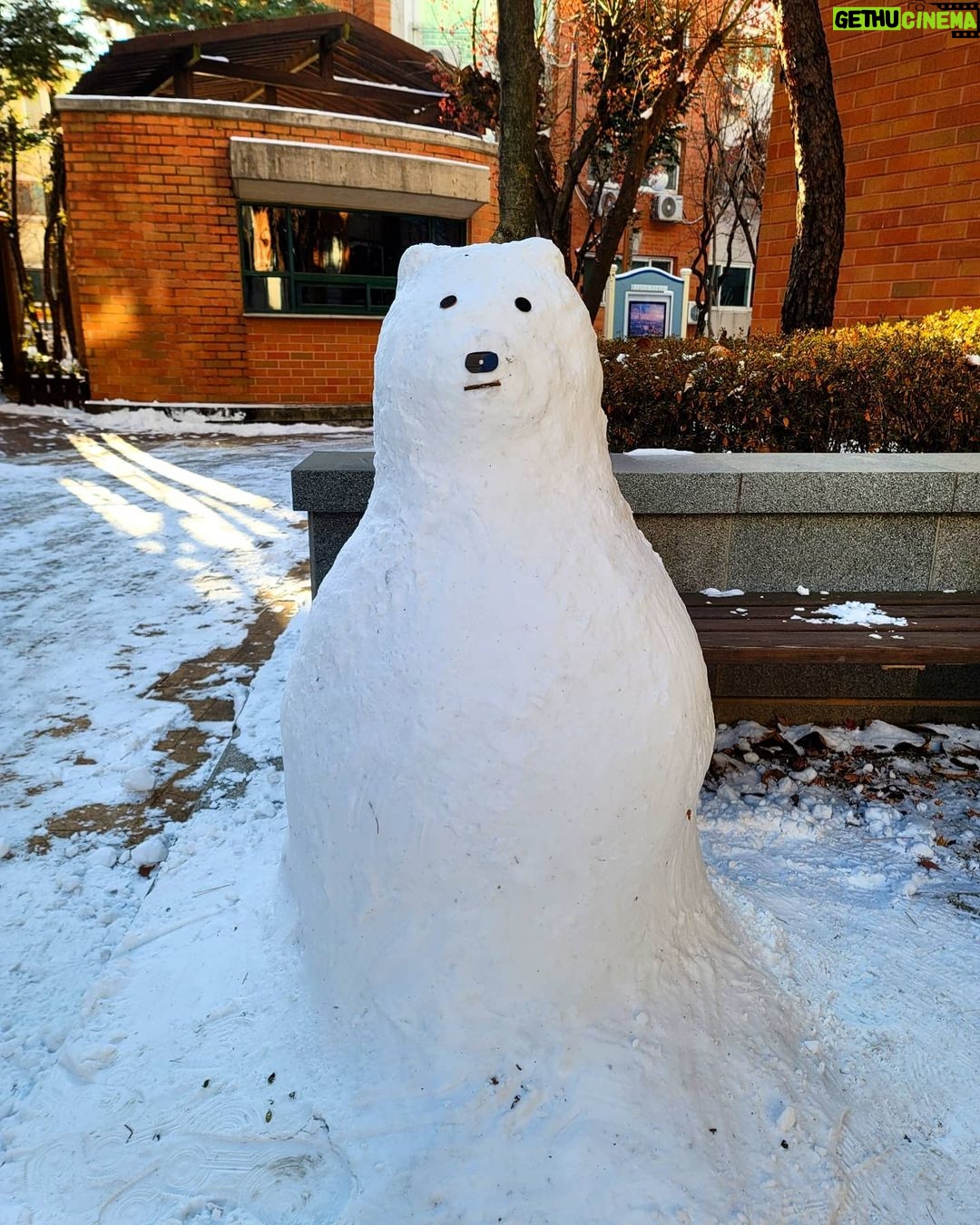 Park Jae-min Instagram - # It is never too cold. 동네에 친하게 지내는 꼬마 아이들이 많은데 첫눈 오는 날의 추억을 남겨주고 싶어서 아무도 없는 새벽 시간에 조그만 선물을 만들어 놓고 왔습니다. 코로나19가 아이들의 소중한 겨울의 추억마저 가져가지는 않았으면 좋겠네요. 4시간 반동안 조그만 눈 덩이에서 시작해서 겨우 동틀 때 즈음에 곰 한 마리가 나왔습니다ㅎ As I wanted make some good memories for my neighbor kids, I made a small snow bear after a 4 and a half hour work. Hope Covid-19 really doesn't take the good memories of winter away from the younglings. It all started from this small snow ball. #첫눈 #눈사람 #위베어베어스 #webarebears #snow #snowman