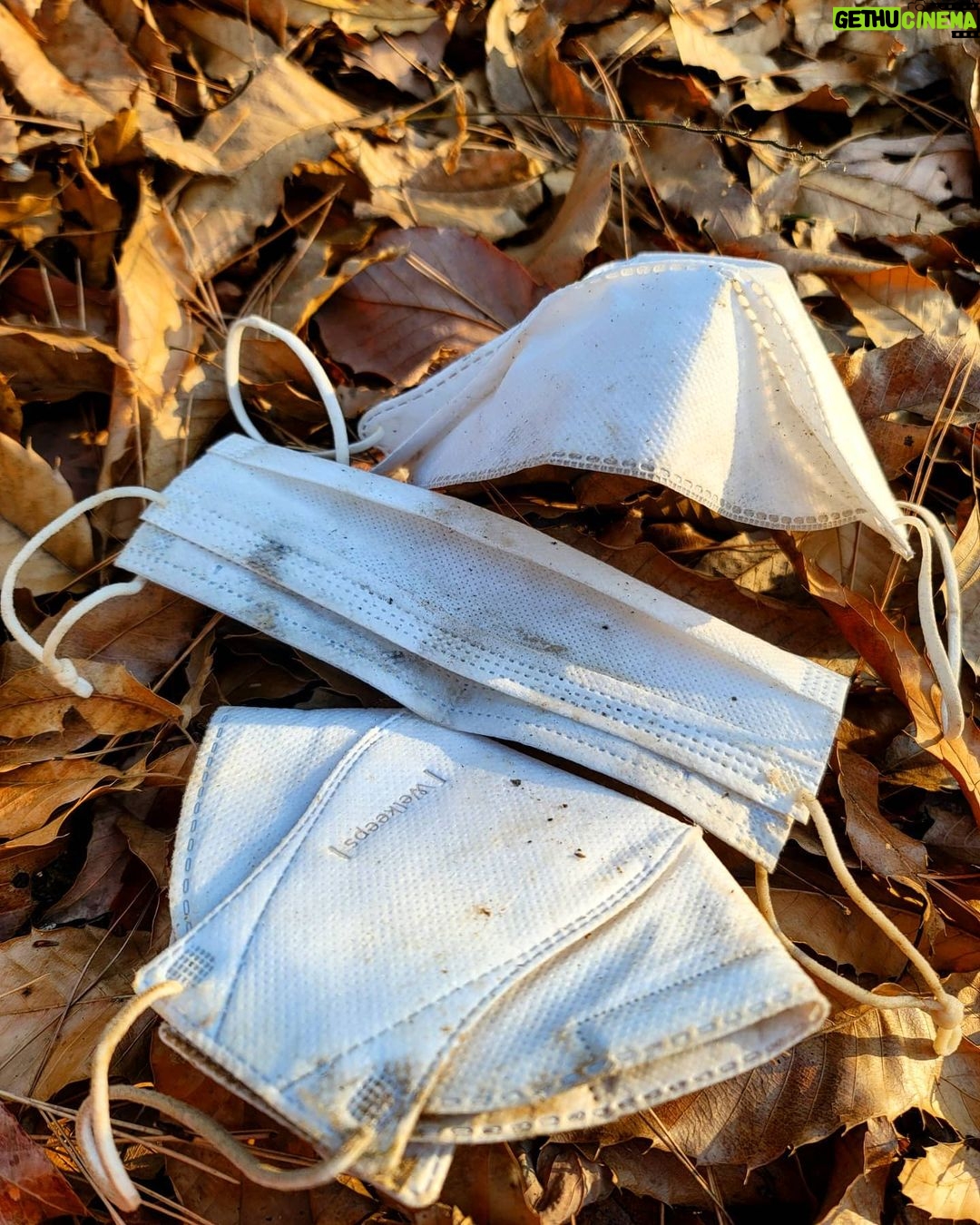 Park Jae-min Instagram - # ACG X ACG All Conditions Gear X A Cleaner Globe Trying to throw a movement named 'ACG' standing for 'A Cleaner Globe'. Anyone who would like to join this movement, don't hesitate to contact me thru DM. All you need is go outdoor, and bring a trash bag with a good will to save our beautiful home, planet earth. Join this movement and post a photo whenever, wherever you are with #acleanerglobe 담배 꽁초 10년. 일회용 컵 10년. 스티로폼 50년. 플라스틱 70년. 알루미늄캔 100년. 폐마스크 최소 100년 이상. 그리고 스티로폼 500년 이상. 우리가 잠시 편하기 위해, 혹은 잠시 소홀한 틈에 지구는 수백 년의 아픈 기다림을 시작하게 됩니다. 지금 내가 버린 한 줌의 쓰레기는 내 손주의 손주, 그 손주의 손주가 밟을 땅에 여전히 남아 있을 것입니다. 내 아이들이 살아갈 이 집을 깨끗하게 물려주기 위해, 깨끗한 지구 프로젝트, ACG 프로젝트를 시작합니다. 필요한 준비물은 쓰레기 봉지 하나, 그리고 의지. 장소는 지구 상의 어느 곳이든 상관 없습니다. 단, 야외가 좋겠죠? 내가 줍는 쓰레기 한 줌이 내 아이들이 살아갈 지구라는 집의 500년을 바꿔줄 것입니다. 여러분도 동참해 보세요! 우리의 집, 지구를 씻겨주고 #acleanerglobe 와 함께 사진을 올려주세요! For A Cleaner Globe! #acleanerglobe #acg #쓰줍산 #나이키 #nike #outdoor #우리강산푸르게푸르게 #sustainability #snkrskickcheck 관악산 중턱