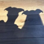Park Ji-yeon Instagram – 행복한 연말 보내세요🫶 (첫 번째 사진 볼수록 웃기넹..ㅋㅎ)