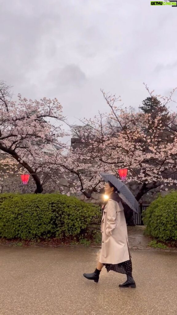 Park Jin-hee Instagram - . 교토는 벌써 벚꽃이 만개했어요✨ 정말 봄이 온거같아요🌸 . . . #kyoto #osaka #cherryblossom #교토#오사카#벚꽃