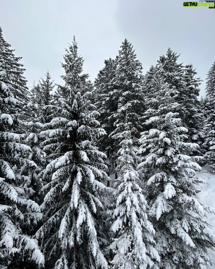 Park Jin-hee Instagram - 오스트리아 스키장… . 기후변화로 유럽지역의 스키장들은 시즌을 단축했어요. 지금 이대로라면 알프스 산맥에서 스키타는게 불가능해질수도 있다고해요. . 지구의 온도가 더이상 높아지지 않도록, 그래서 이렇게 아름다운 눈을 앞으로도 오랫동안 볼 수 있길! 조금씩 힘을 보태주세요😍 . #지구온난화 #기후위기 #기후비상 #같이극복해요