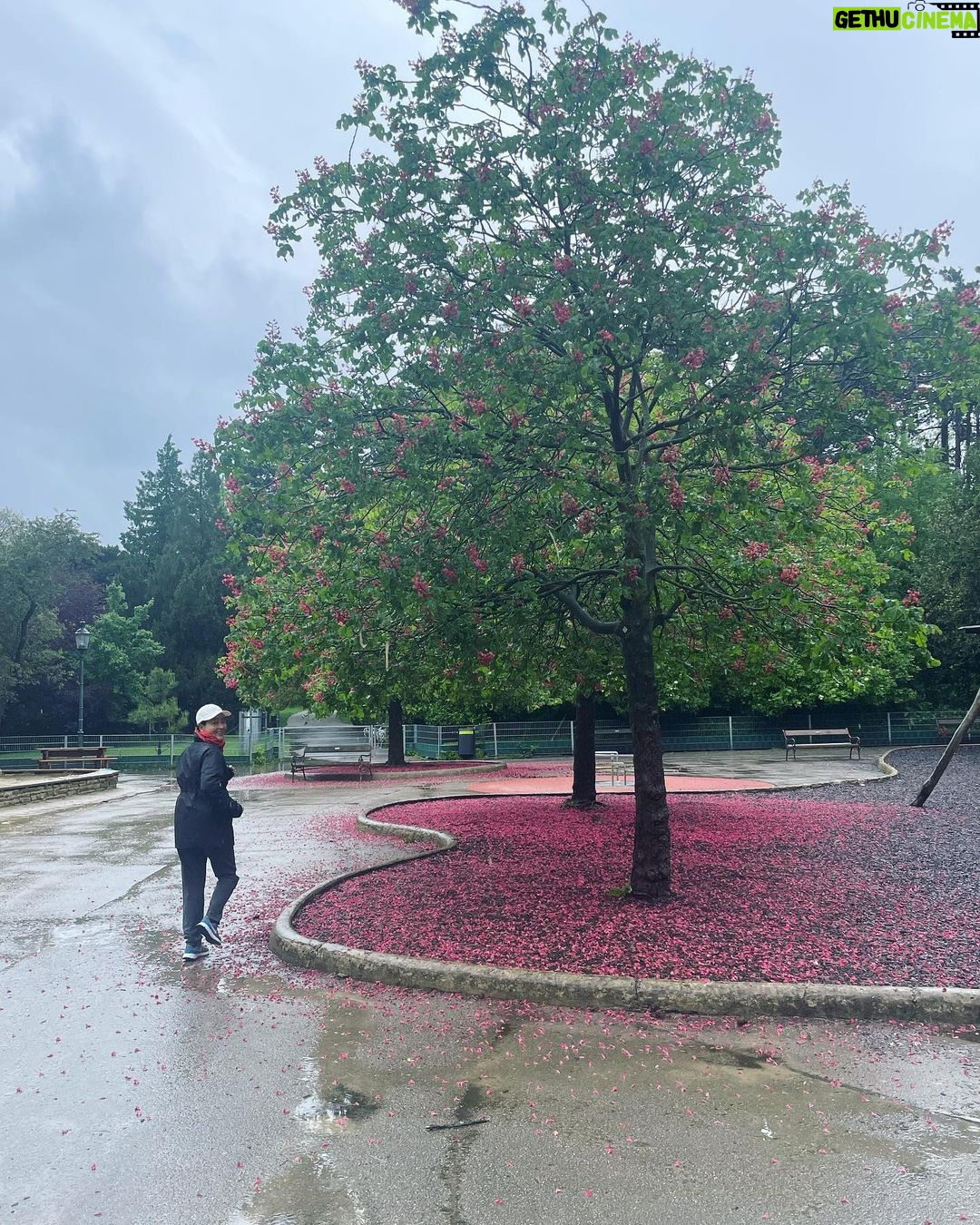 Park Jin-hee Instagram - #비오는날 #러닝 #꽃길만걷자 🌸 #자연