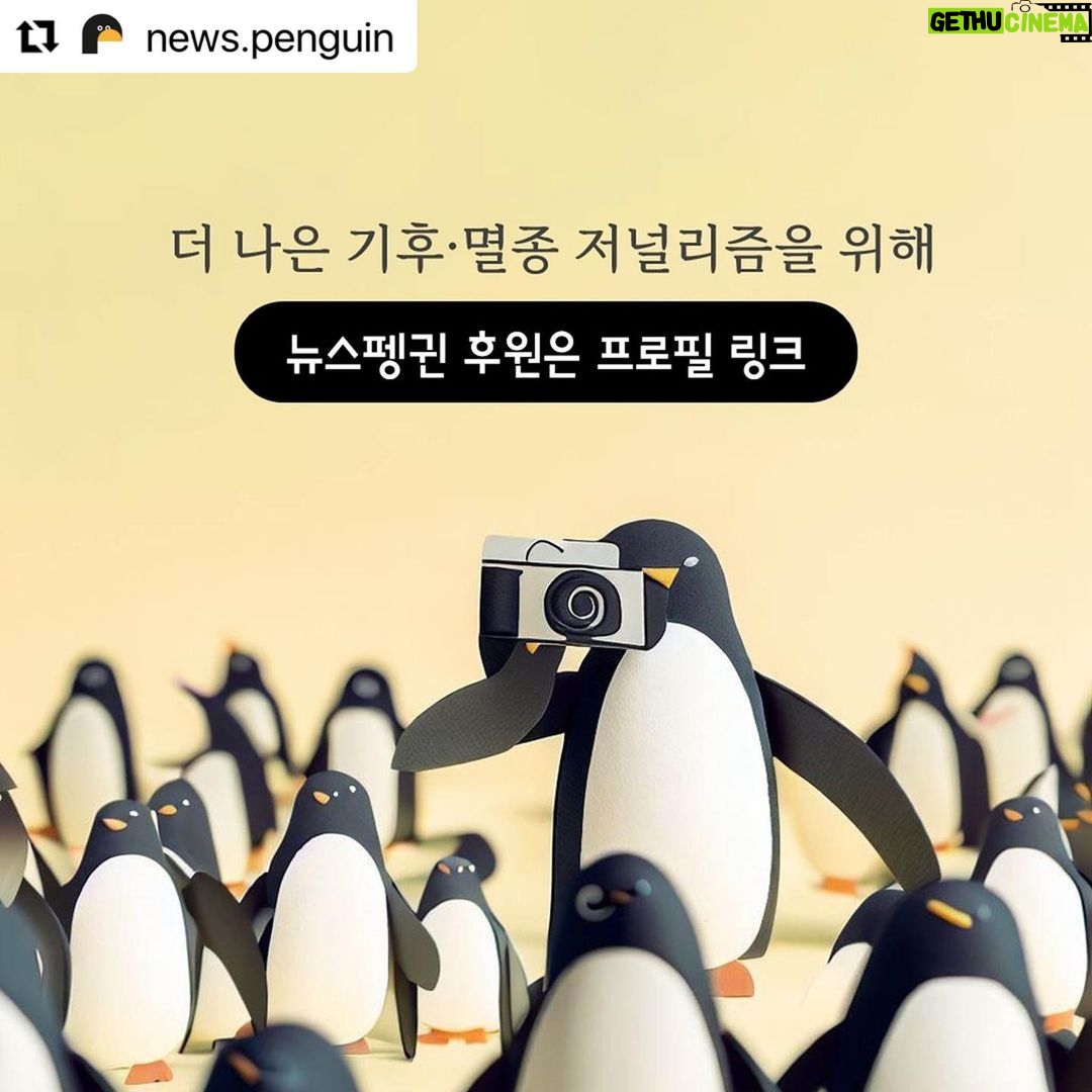 Park Jin-hee Instagram - 소똥구리가 한국에서 절멸. 사라졌다니… 너무 미안하고… 슬프다. . . . #Repost @news.penguin 우리에게 친숙한 곤충 소똥구리가 한국에서 절멸했다. 10년 만에 이뤄진 멸종위험 상태 재평가에서 소똥구리는 국내 야생에 단 한 마리도 남아있지 않은 것으로 확인됐다. 이에 따라 '지역절멸'에 속한 것으로 분류됐다. 과거 한국 전역에서 흔하게 볼 수 있었던 이 곤충은 1970년대 이후 공식적인 관찰 기록이 없다. 소똥구리는 대형 초식동물의 배설물을 먹고사는 분식성 곤충이다. 전문가들에 따르면 방목 가축이 감소한데다 항생제와 보존제 등 첨가제가 들어간 배합사료 사용, 농약살포, 서식환경 오염 등 원인으로 개체수가 급감하다 결국 멸종한 것으로 추정된다. 소똥구리 외에도 △닻무늬길앞장이 △물방개 △배물방개붙이 △루리하늘소 등 곤충 4종에 멸종 빨간불이 켜졌다. 이들 개체수는 서식지 훼손으로 급감하고 있다. 특히 딱정벌레과 닻무늬길앞잡이는 과거 경기·충남·전북·전남 등지에 분포했고 2000년 초반까지 인천 지역 해안사구에서 비교적 많은 개체수가 확인됐다. 하지만 해안사구 감소와 개발, 무분별한 남획으로 최근에는 충남 태안과 전남 신안 등지에서 소수의 개체수만 확인돼 멸종 우려가 높은 상황이다. . #소똥구리 #쇠똥구리 #곤충 #딱정벌레 #멸종위기종 #멸종위기 #절멸 #멸종 #야생동물 #물방개 #루리하늘소 #닻무늬길앞장이 #윤조롱박딱정벌레 #대모잠자리 #잠자리 #지구해요 #뉴스펭귄