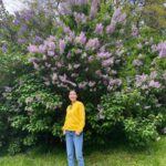 Park Jin-hee Instagram - 얼마전, 바람을 타고 전해지는 라일락향기에 이끌려왔는데 이렇게 큰 라일락 나무를 만났어요😍 . 라일락의 꽃말은 젊은날의 추억이래요! . 라일락의 향기 오래오래 간직하고 싶네요! 오늘도 좋은 하루 보내세요! . . #라일락 , 오늘 갑자기 #갬성적
