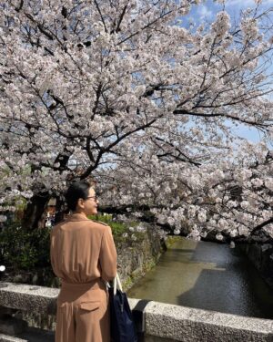 Park Jin-hee Instagram - #이른 #꽃구경 #🌸 #감사합니다