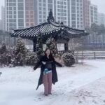 Park Jin-hee Instagram - 갑작스런 눈에~ 동네 친구와 수다는 참 좋았는~ 사진도 남겨줘 고맙다구!!! #눈 #신나 #날씨형인간 #감사와행복