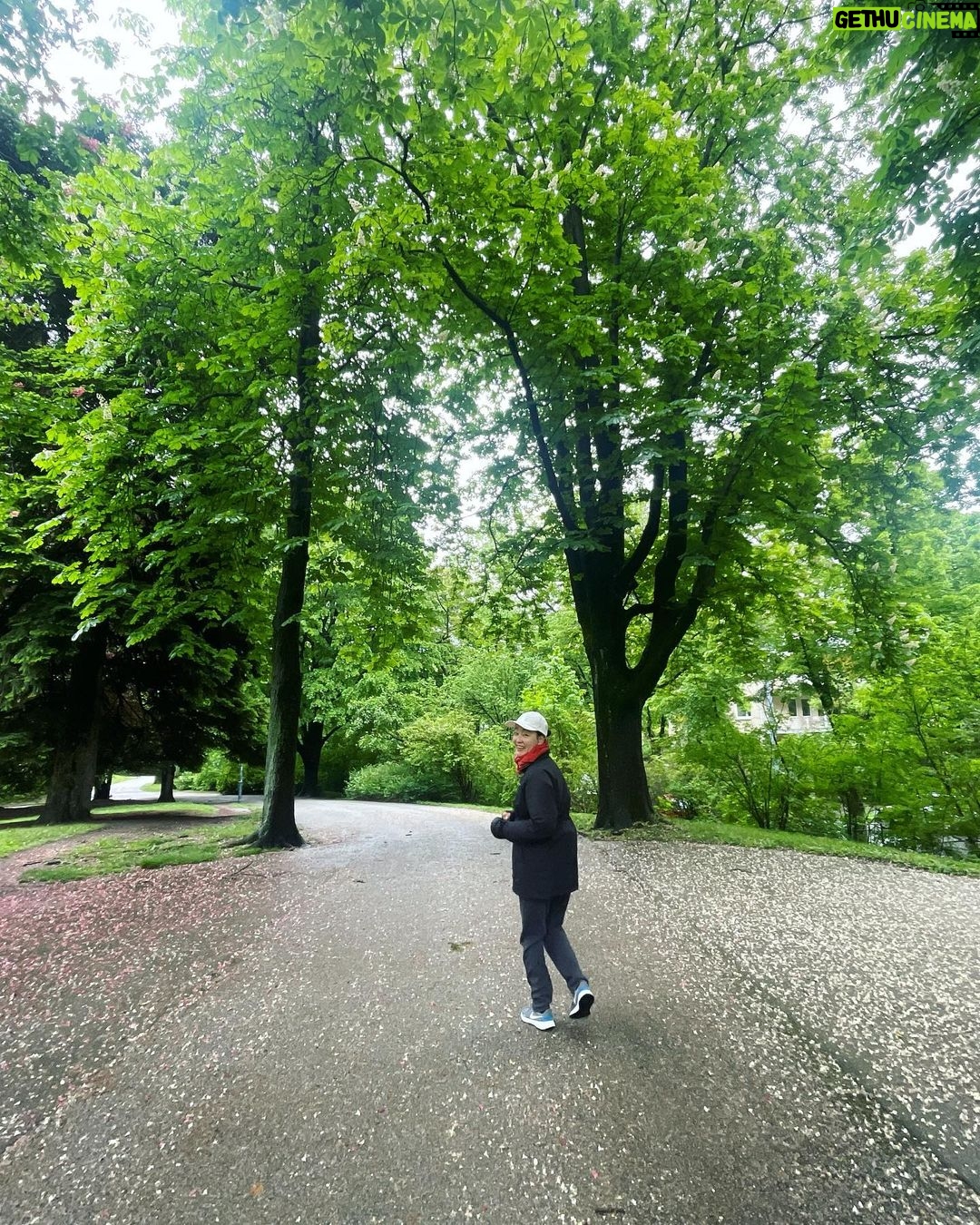 Park Jin-hee Instagram - #비오는날 #러닝 #꽃길만걷자 🌸 #자연