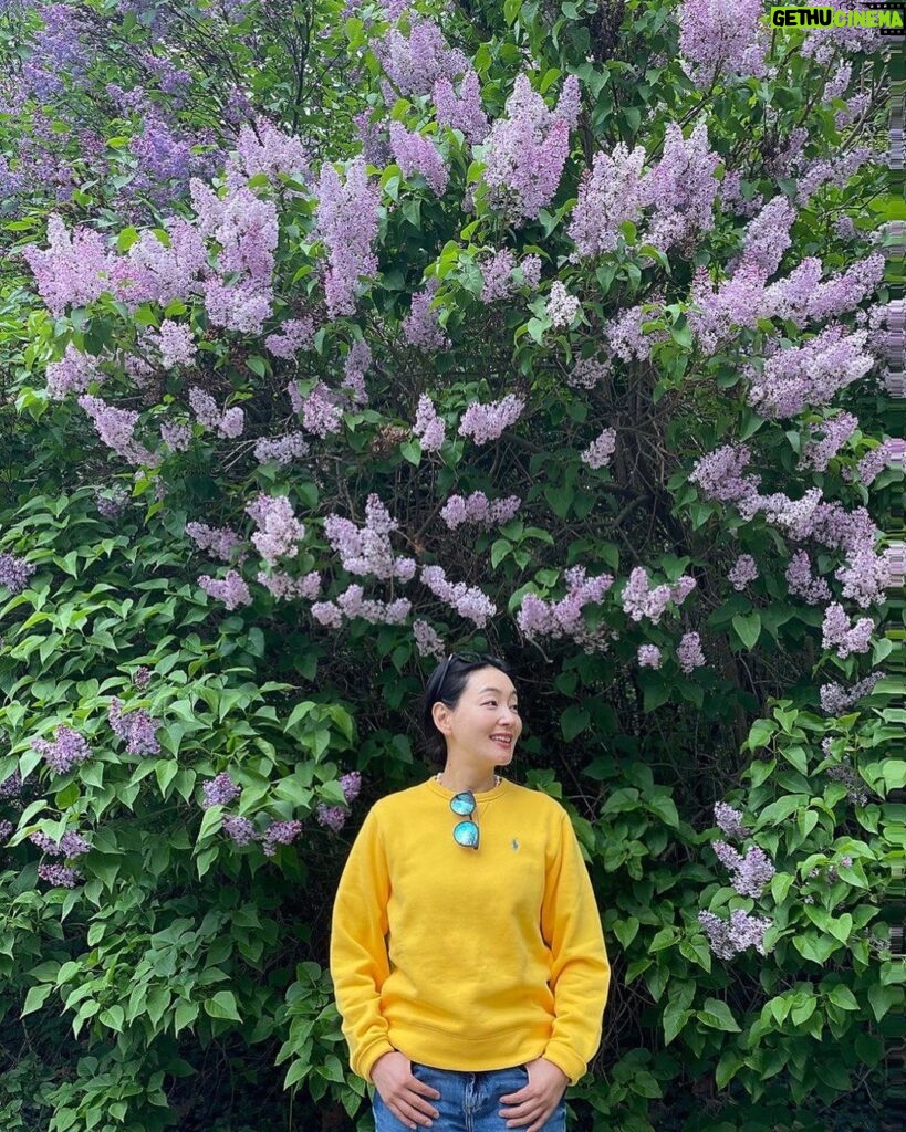 Park Jin-hee Instagram - 얼마전, 바람을 타고 전해지는 라일락향기에 이끌려왔는데 이렇게 큰 라일락 나무를 만났어요😍 . 라일락의 꽃말은 젊은날의 추억이래요! . 라일락의 향기 오래오래 간직하고 싶네요! 오늘도 좋은 하루 보내세요! . . #라일락 , 오늘 갑자기 #갬성적