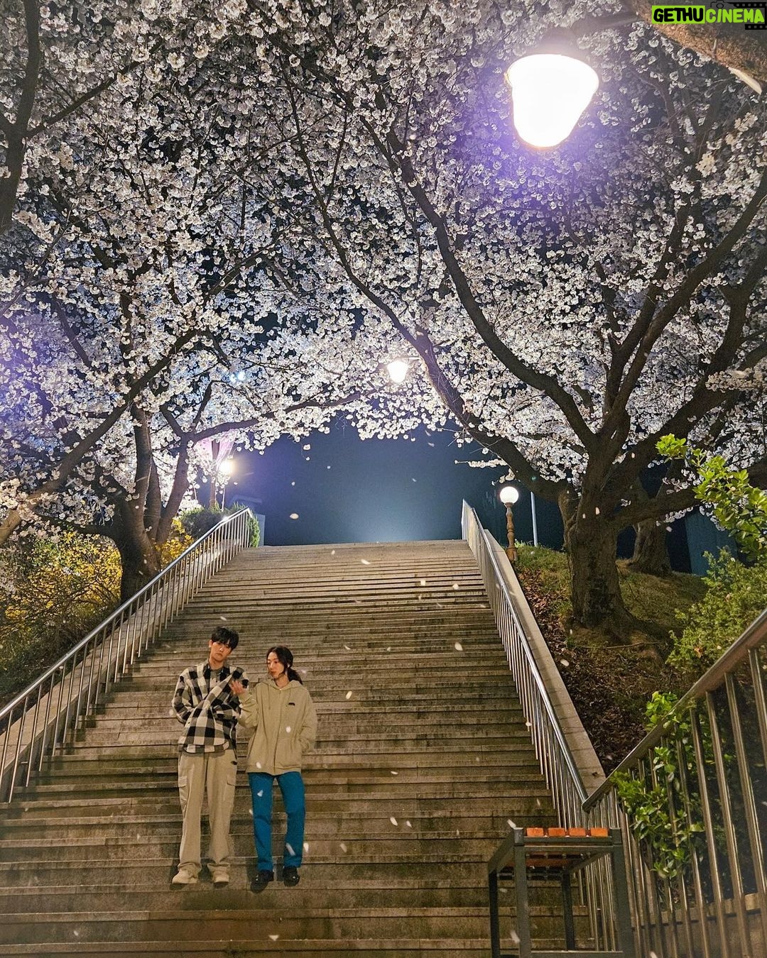 Park Shin-hye - 2.6 Million Likes - 분명 찍을 때 제정신이었는데 제정신이 아니었던 날🤣
컷 소리가 나면 몰려오는 현타란..
짠내폴폴 #닥터슬럼프
나만때린 딱밤. 과연 정우는 때릴 수 있을것인가 으아하하하하하😈👻😈👻