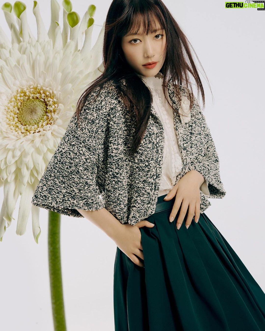 Park Shin-hye Instagram - #모조에스핀 #mojosphine @mojo.s.phine