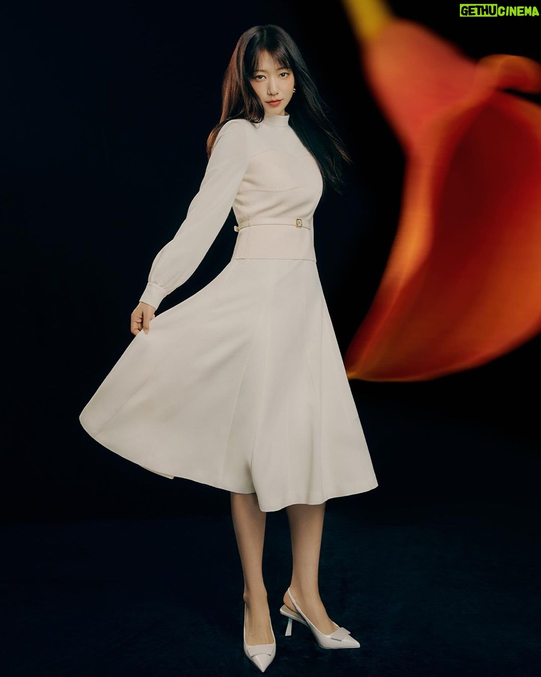 Park Shin-hye Instagram - #모조에스핀 #mojosphine @mojo.s.phine