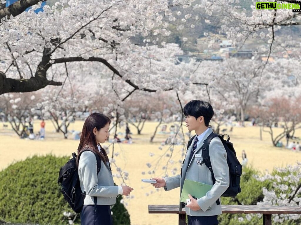 Park Shin-hye Instagram - 봄바람 휘날리며어어어어어어 흐읕날리는 벚꽃잎이이이이이~~