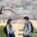 Park Shin-hye Instagram - 봄바람 휘날리며어어어어어어 흐읕날리는 벚꽃잎이이이이이~~