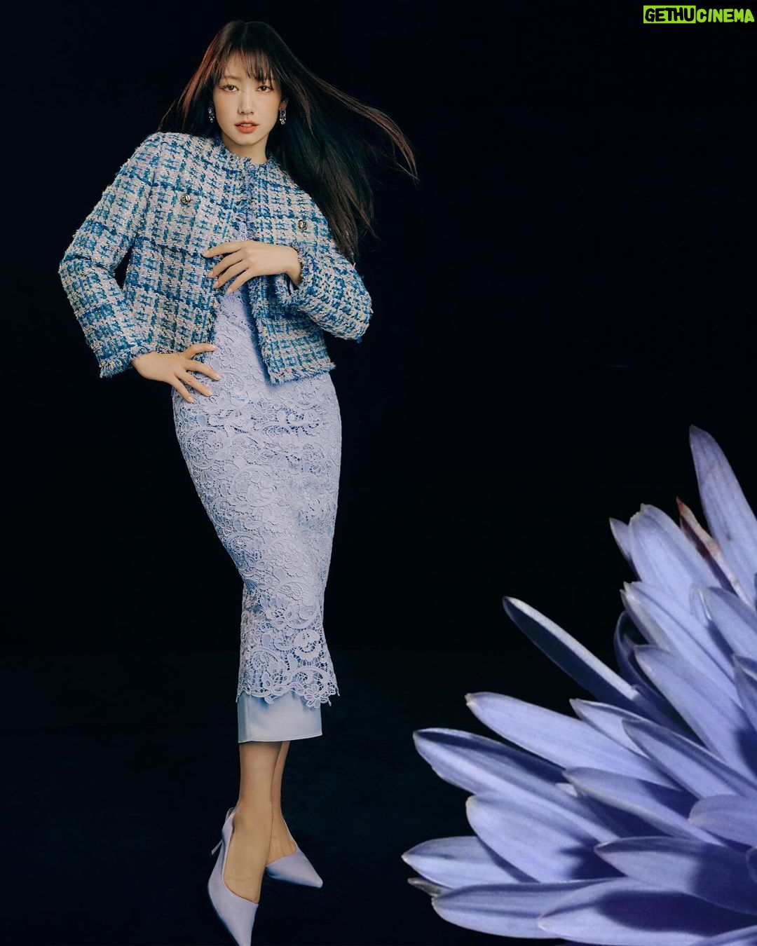 Park Shin-hye Instagram - #모조에스핀 #mojosphine @mojo.s.phine