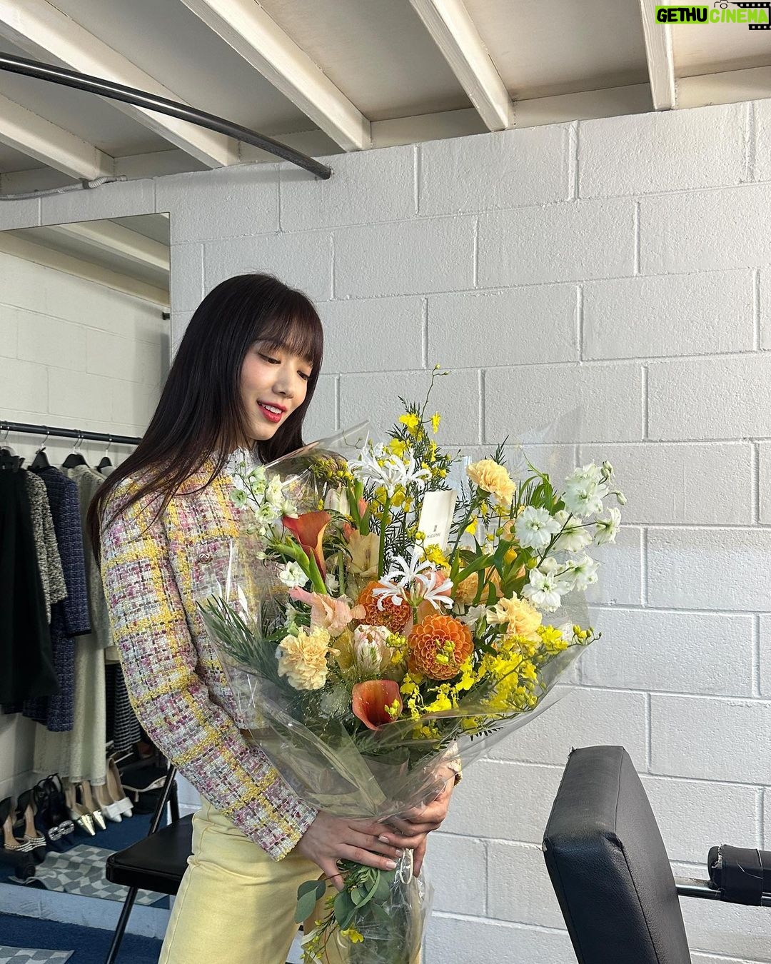 Park Shin-hye Instagram - 노랑노랑노랑❣️오예 꽃이다아❣️❣️ #모조에스핀 #mojoshine