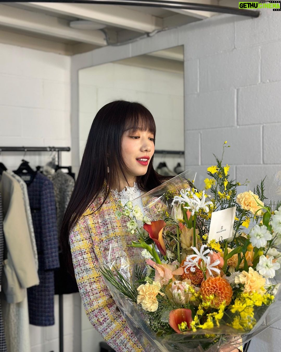 Park Shin-hye Instagram - 노랑노랑노랑❣️오예 꽃이다아❣️❣️ #모조에스핀 #mojoshine