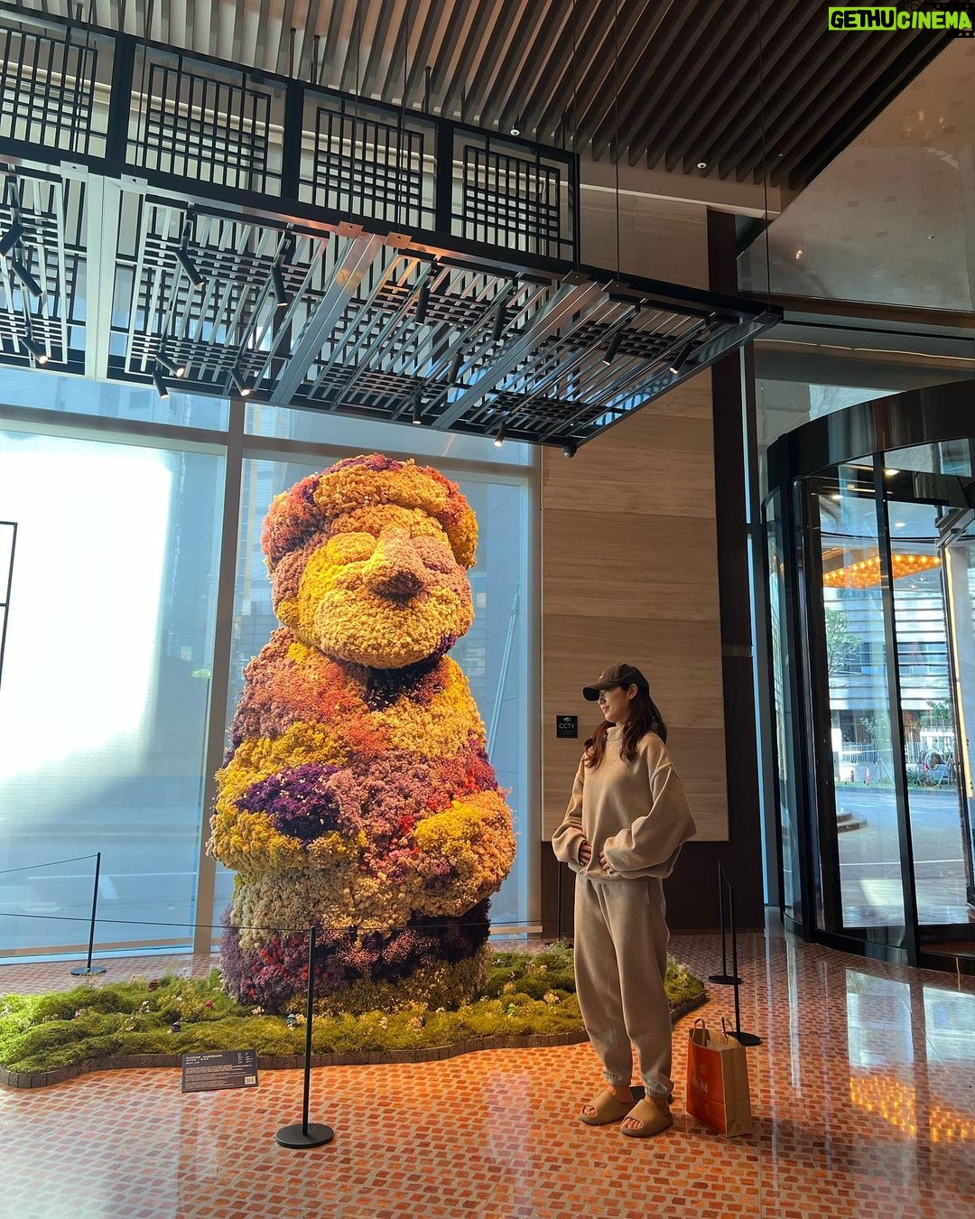 Park Shin-hye Instagram - 엄마아빠랑 제주도여행 끝❣️ 재미있었당❣️