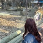 Park Shin-hye Instagram - 오늘의 TMI.. 새벽내내 소리지르며 축구응원..하다 잠못잠 😵‍💫😵‍💫 인스타 둘러보기 대부분은.. 동물....👉🏼👈🏼 🐈🐕🦌🦙🐎🐖🐏🦒🐂🦬🦘🦛🦏🦓🦍🦣🐘🐆🐅🦩🦨🦥🦔🦚🦭🦈🐳🐋🪼🐼🦁🐯🦊🐶🐱🐻🐨🐰 그 중에 최애는..👉🏼👈🏼