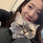 Park Shin-hye Instagram - 우리집 맹수🙂 껌딱지해리😼
