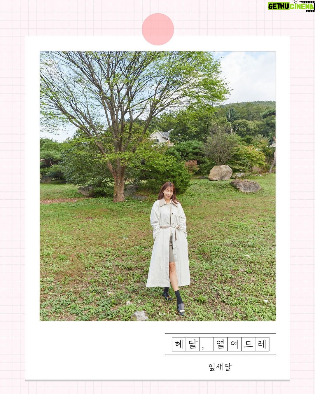 Park Shin-hye Instagram - 혜달, 열여드레 - 잎새달호 따듯한 봄기운아 솟아나자!!!