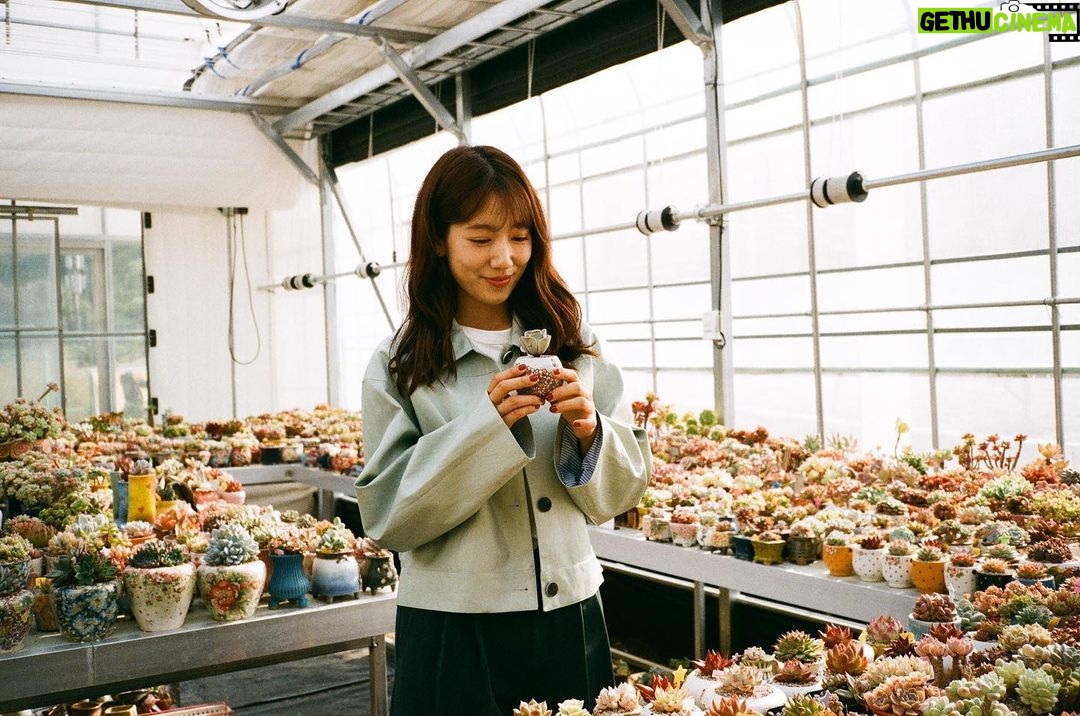 Park Shin-hye - 1 Million Likes - 필름 좀 더 찍어놓을걸..