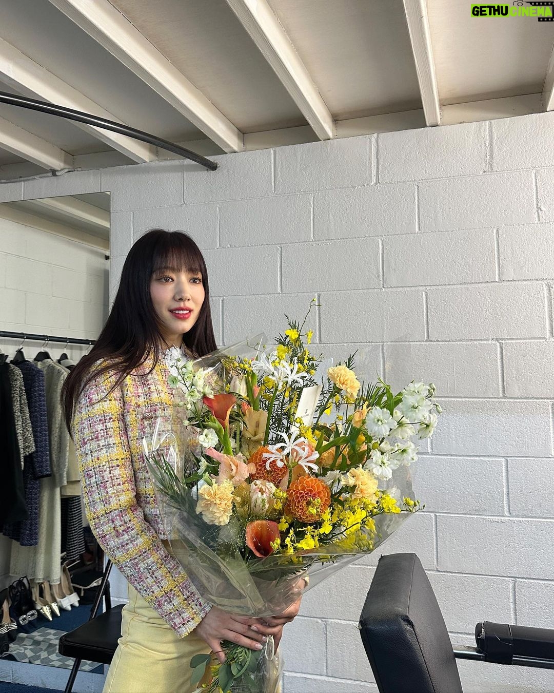Park Shin-hye Instagram - 노랑노랑노랑❣️오예 꽃이다아❣️❣️ #모조에스핀 #mojoshine