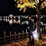Park Young-tak Instagram - 가을 그리고 월영교🍁🍂 #안동 Andong, Korea