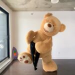 Parkourporpoise Instagram - This giant teddy bear costume might be a little bit more of an accurate representation of my stomach after Christmas eating #xmas #ChristmasFeast #thedayafterchristmas #Teddybear #comedy #cosplay #wildnature #naturedocumentary #HolidayFluff #mtl Downtown, Montreal