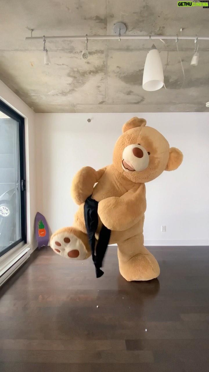 Parkourporpoise Instagram - This giant teddy bear costume might be a little bit more of an accurate representation of my stomach after Christmas eating #xmas #ChristmasFeast #thedayafterchristmas #Teddybear #comedy #cosplay #wildnature #naturedocumentary #HolidayFluff #mtl Downtown, Montreal