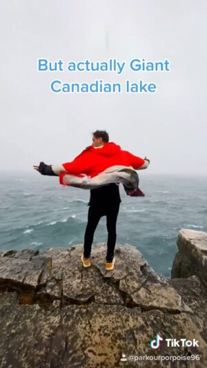 Parkourporpoise Instagram - Would you believe me? 😱😍🏔 (i meant ocean 😅)
#ontario #vibes #incredibe #winterwonderland #beautiful
