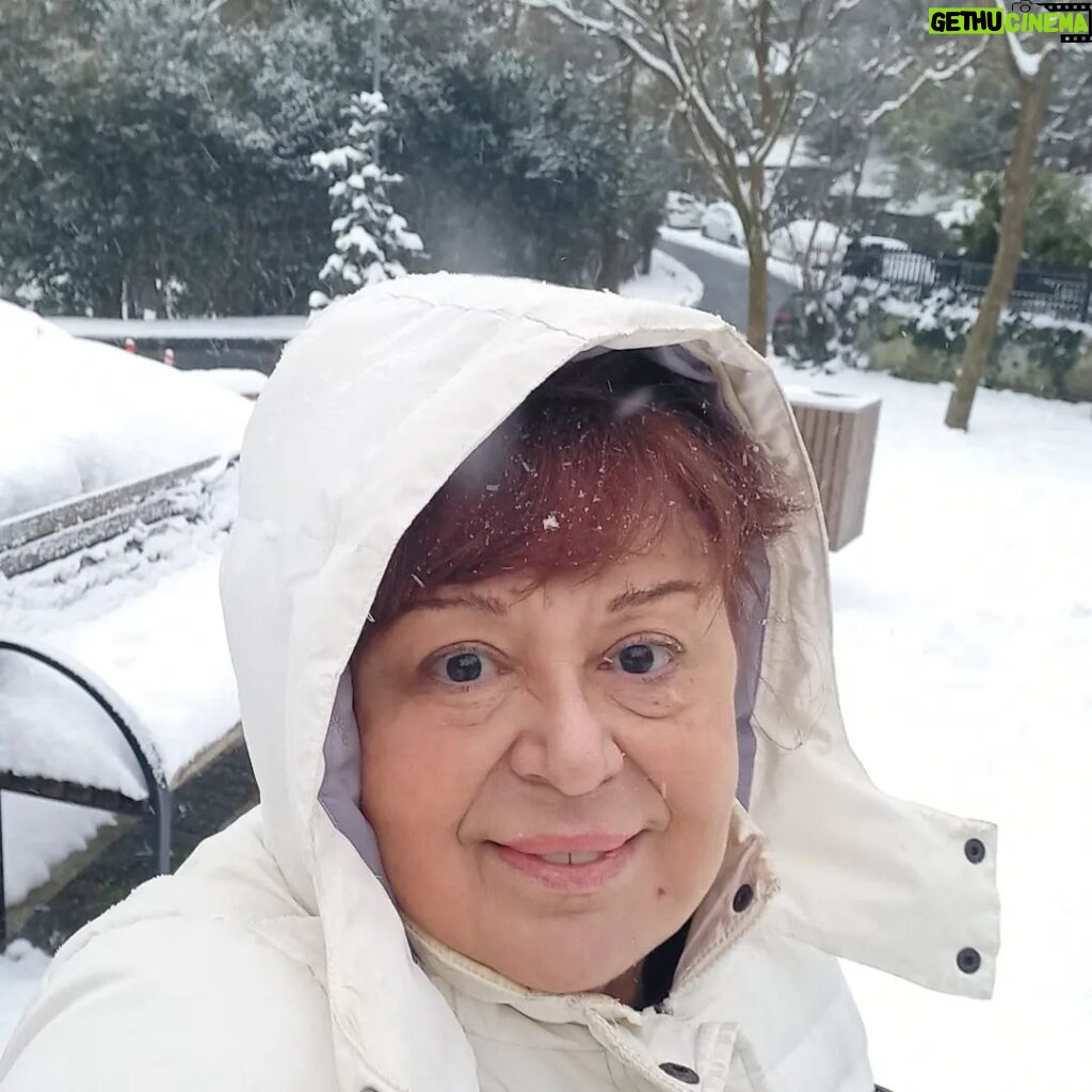 Parla Şenol Instagram - Kar kimine eğlence... zor durumdaki canlıları koru ya Rabbım.