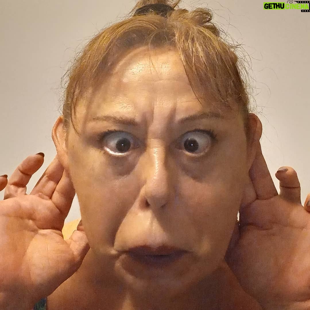 Parla Şenol - 18.3K Likes - Keçilerim özgürdür benim.
Onları bağlamam, bazen de kaçarlar evet!
Toplum içindeki eylemlerim "namusa, şerefe, sağlığa zarar vermedikçe de, kendimi hesap vermek zorunda hissetmem.
Tevazum kendimi tüm çevre ile birlikte sevmemden ve ozguvenimdendir.
Kendim için normali/sıradanlığı seçmem.
Yorumlara genelde hiç değilse bir "like" atarak cevap vermeye çalışırım.
Araştırmadan veya karşındakinin durumunu dikkate almadan yapılan yorumları sevmem ama anlayış gösterip gülüp geçmeye çalışırım.
DM bakmam.
Ozel cevap vermem.
Sanatçıyım diye yaşamımın gerçek yanlarını göz ardı etmem;
aksine, fanların bunları da görmesini isterim.
Oyuncunun kendi hayatının başka, oynadığı karakterin başka olduğunu anlamasını umarım böylece.
Ben buyum.
Benimle olanları sevgiyle kucaklıyorum. 😘❣🌺🥳