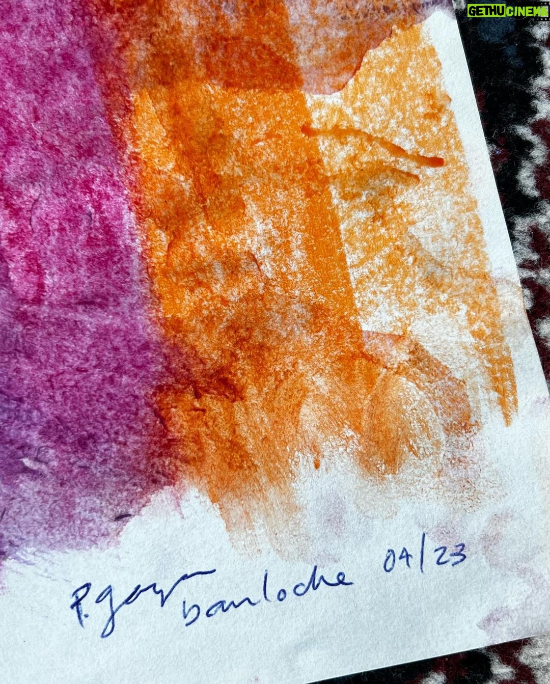 Patricia Garza Instagram - A LIFE OF COLORS Mi paleta de color de los últimos días. Me emociona y me impresiona cada vez que encuentro un nuevo color en la naturaleza. Colores que por más que el humano quiera replicar, es imposible. Colores que solo existen por un momento, un instante, tan efímeros e impredecibles y que su repetición requiere de tantos factores, que quizá sea la única que vez que sean captados por nuestros ojos. Argentina
