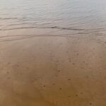 Patricia Garza Instagram - MOVIMIENTOS_ lentos, constantes, sutiles, imperceptibles. Agua, agua, agua, que envuelve, mueve y limpia todo lo que toca.