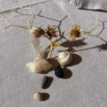 Patricia Garza Instagram - Lo que encuentro en mis delicadas exploraciones son mi fuente primordial de inspiración divina, de conexión con todas mis creaciones. Se convierten en mi herramienta principal. Observo, integro, siento y creo. Desde un vestido, hasta una pieza de cerámica, un dibujo, mis cuencos o un bordado. La naturaleza es mi más grande musa, es como si me guiara de la mano en mi proceso creativo. Estoy agradecida por eso y nunca sabré la si la inspiración se busca o te encuentra, pero tengo la fortuna de que siempre cuento con ella. What I find in my delicate explorations is my main source of divine inspiration, a connection to all my creations. They become my primary tool. I observe, integrate, feel, and create. From a dress to a piece of pottery, a drawing, my singing bowls, or an embroidery. Nature is my greatest muse, as if it guides me hand in hand in my creative process. I am grateful for that, and I will never know if inspiration is sought or found, but I feel special that inspiration is always by my side.