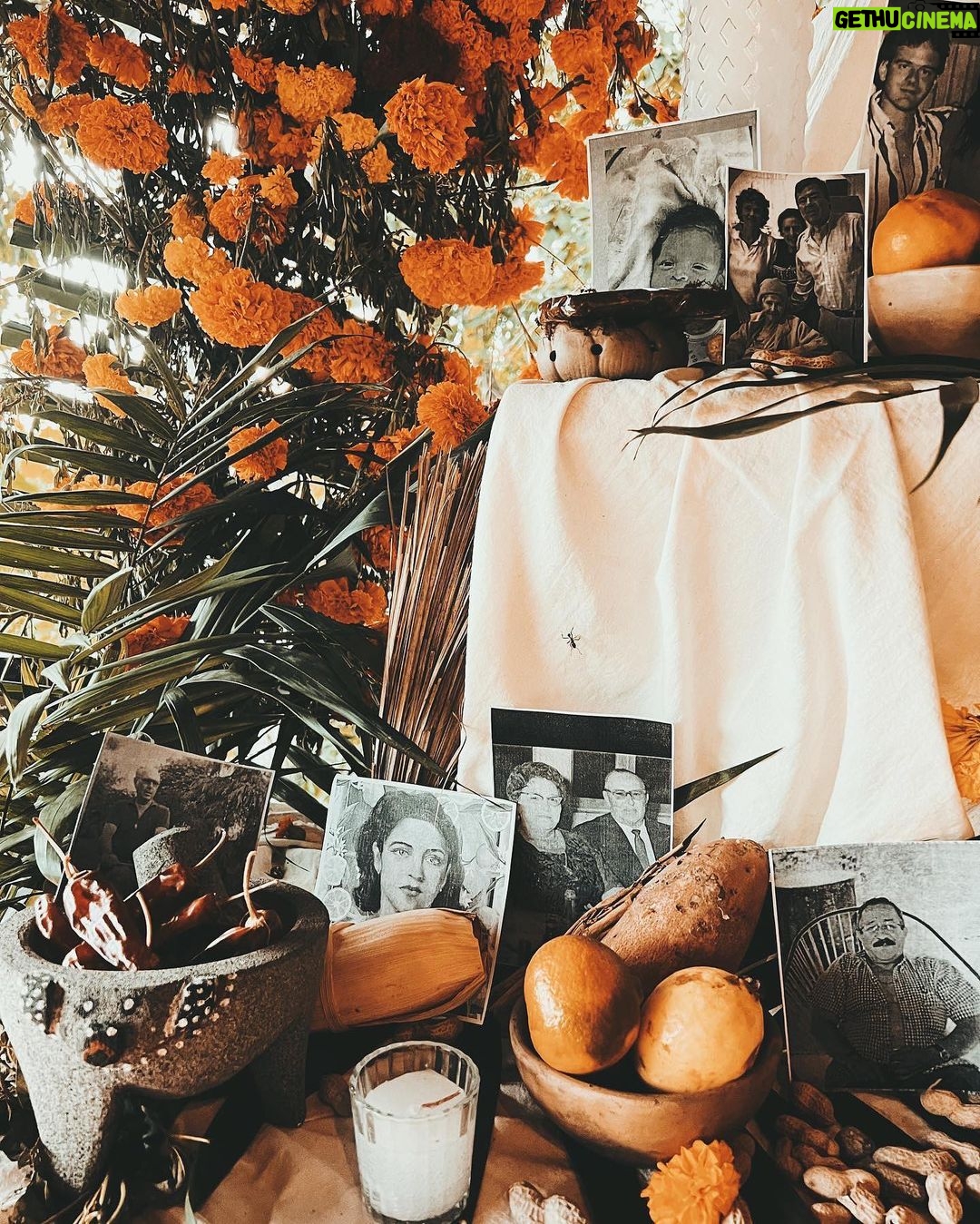 Patricia Garza Instagram - Nuestro Altar 2023 en @pueblodelsol_mx Oaxaca. Así celebramos la impermanencia en la tierra y la permanencia en el infinito. Quiero que me acompañen y recordarlos siempre. 🤍✨ Gracias a todos! 🪬