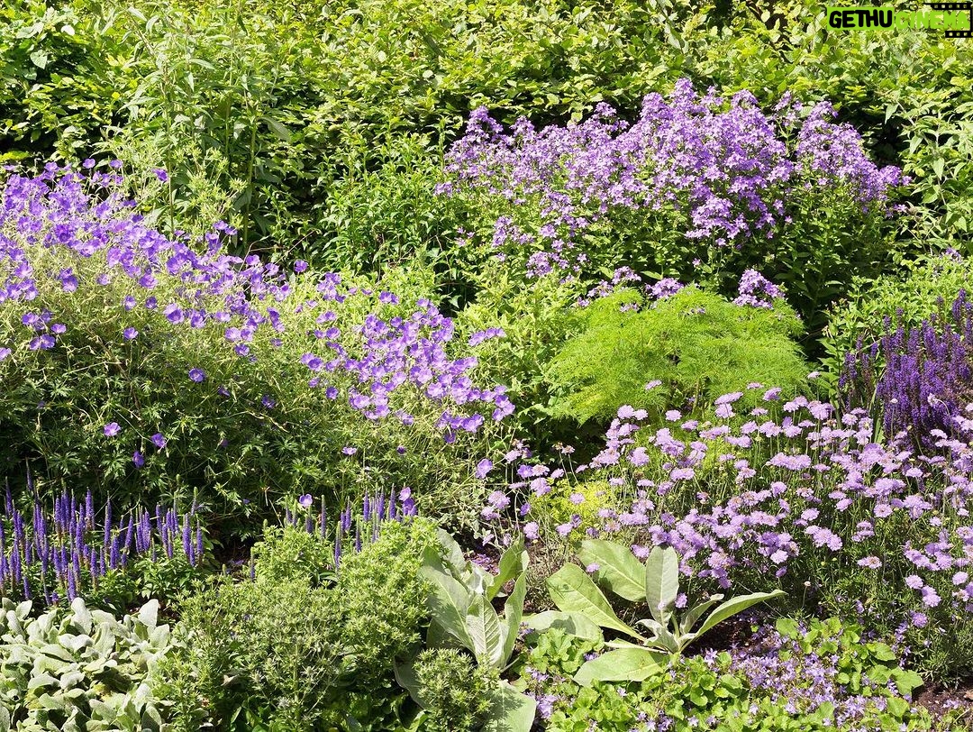 Patricia Heaton Instagram - I love wandering around London and checking out all the beautiful blooms in these lovely English gardens.
