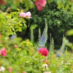 Patricia Heaton Instagram - I love wandering around London and checking out all the beautiful blooms in these lovely English gardens.