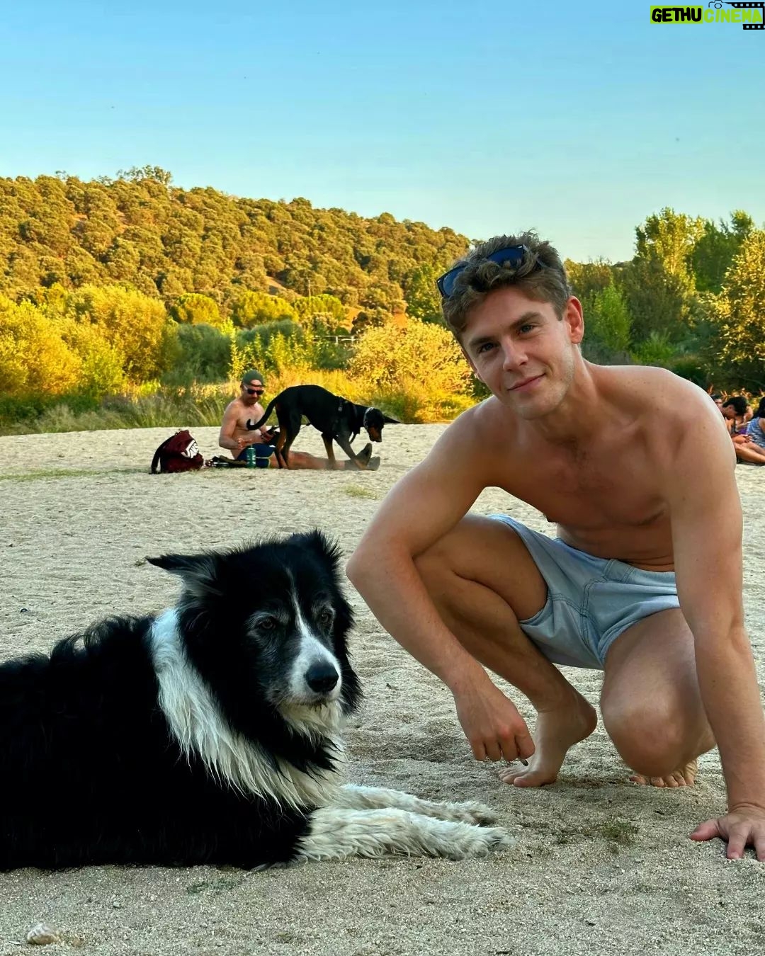 Patrick Criado - 16.6K Likes - 🐶🖤🤘