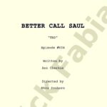 Patrick Fabian Instagram - Tonight. Episode 604 “Hit And Run” Written by @anncherkis Directed by @rheaseehorn #BetterCallSaul @bettercallsaulamc @amcplus @amc_tv @sptv #womeninfilm #anncherkis #rheaseehorn