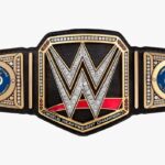 Paul Michael Lévesque Instagram - New year, same result. Congrats to @nikitakucherov86, Andrei Vasilevskiy, the entire @tblightning organization and the city of Tampa Bay on a dominating performance in the #StanleyCup finals. Time to make room for another custom @WWE Championship! #GoBolts