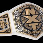 Paul Michael Lévesque Instagram - For a women’s division that cannot be stopped, that every night stands and delivers... I cannot wait to see the matches for these titles... STARTING TONIGHT!!!! #WeAreNXT @wwenxt